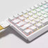 [In Stock] Contour line Dye Sublimation Cherry Profile Keycaps