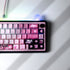 [In Stock] TaoYaoLong PBT Shine Through Keycap Set