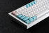 [Out of Stock] RX870 TKL 80% Mechanical Keyboard