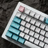 [In Stock] RX870 TKL 80% Mechanical Keyboard